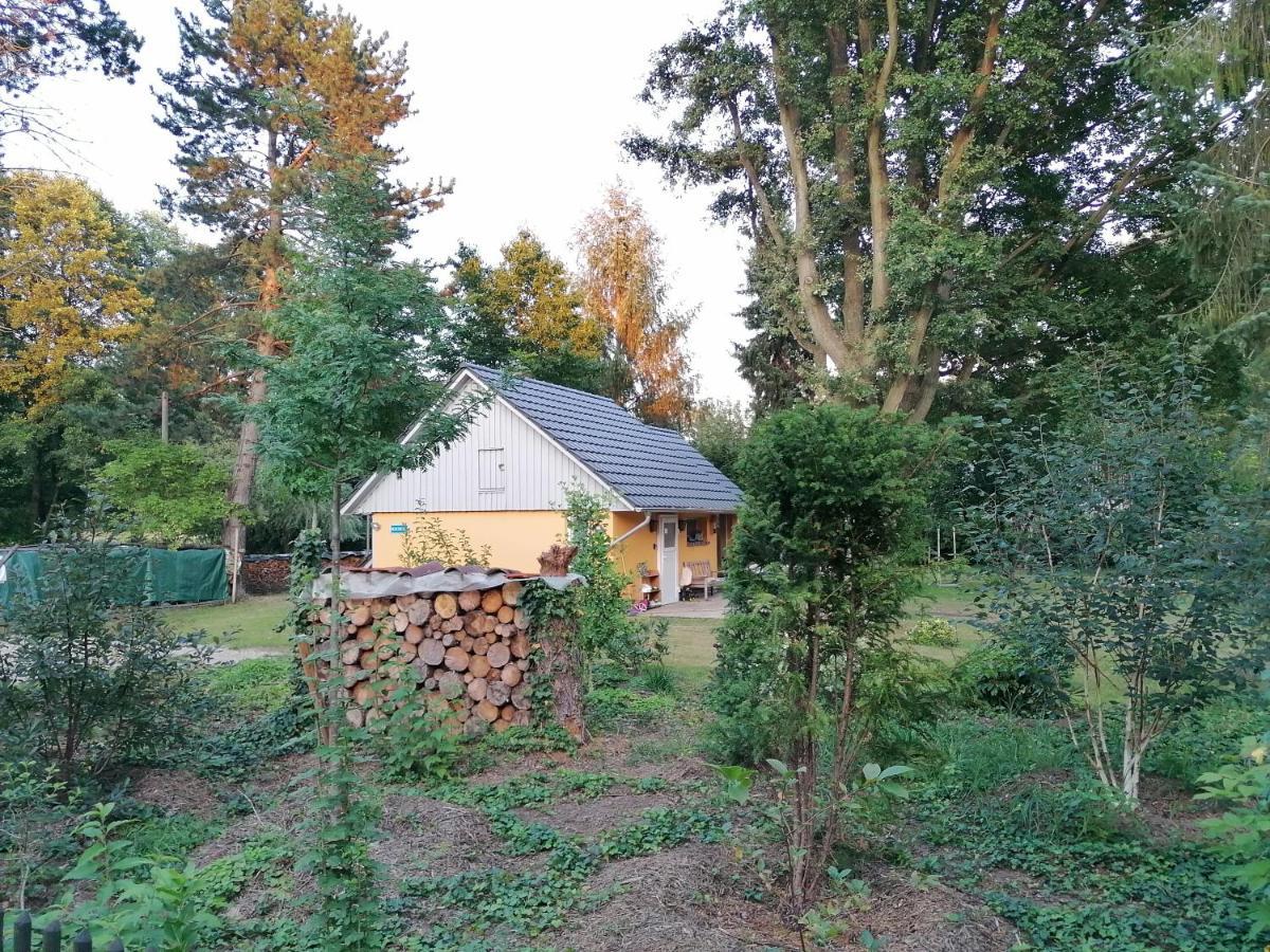 Bleichehof Villa Burg  Buitenkant foto